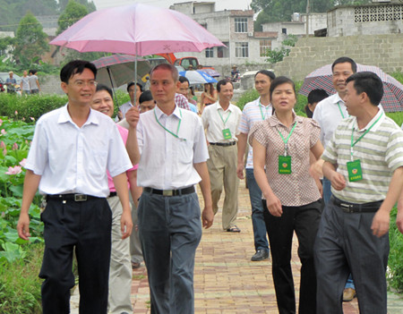 平果县政协组织委员们在坡造镇荷花观光旅游基地视察