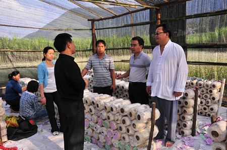 图为右江区政协副主席温健敏(右二)在龙和村食用菌示范点指导工作.