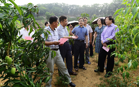 自治区政协农业委员会调研组到右江区开展调研活动