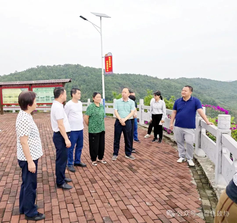 崇左市政协到我市调研